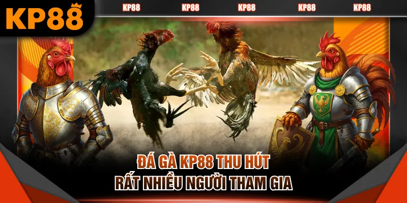 Đá gà KP88 thu hút rất nhiều người tham gia
