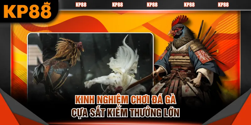 Kinh nghiệm chơi đá gà cựa sắt kiếm thưởng lớn