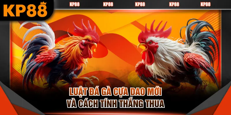 Luật đá gà cựa dao mới và cách tính thắng thua