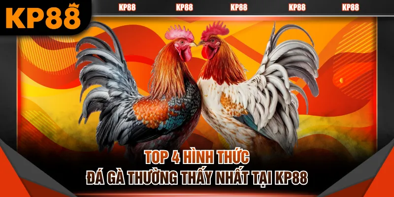 Top 4 hình thức đá gà thường thấy nhất tại KP88